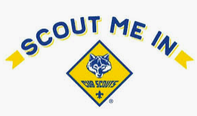 Scout me in: Cub Scouts